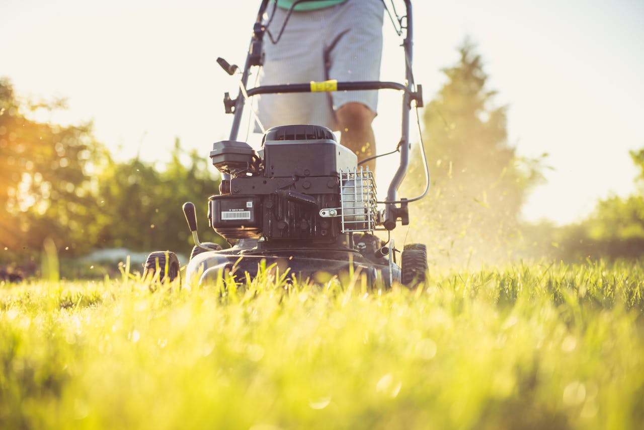 Person mowing a lush green lawn in golden sunlight